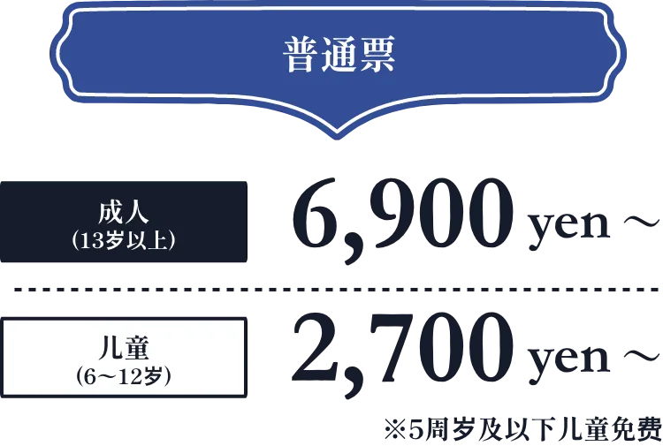 普通门票价格
