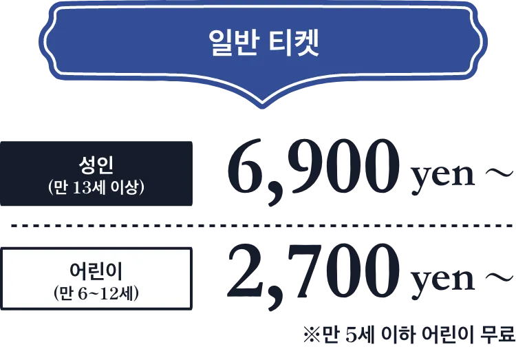 일반 티켓 요금
